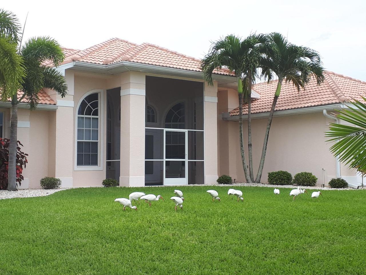 Villa Eyleen Cape Coral Bagian luar foto